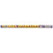 Mega Sparklers 10 Pack