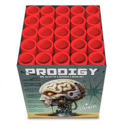 Prodigy 25 Shot Barrage  Prodigy 25 Shot Barrage
